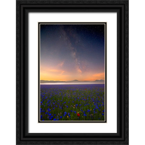 Night Flowers Black Ornate Wood Framed Art Print with Double Matting by Marchegiani, Roberto
