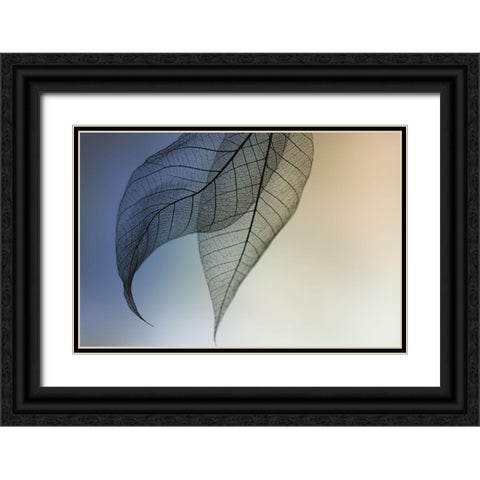 Cavatina Black Ornate Wood Framed Art Print with Double Matting by Kowatari, Shihya