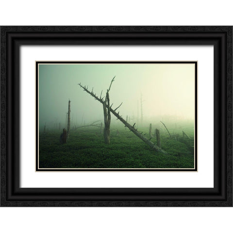 Beautiful Rot Black Ornate Wood Framed Art Print with Double Matting by Sugimoto, Koji