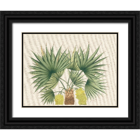 Palm Fronds III Black Ornate Wood Framed Art Print with Double Matting by Unknown