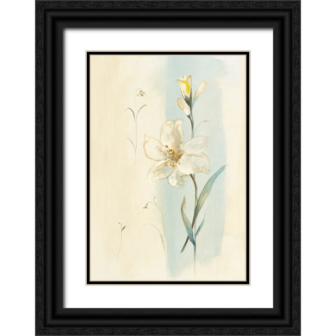 White Orchid Black Ornate Wood Framed Art Print with Double Matting by Unknown