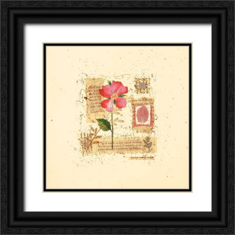 Parisian Pansy II Black Ornate Wood Framed Art Print with Double Matting by Unknown