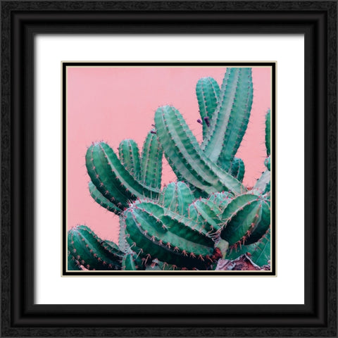 Braun Studio - Pink cactus Black Ornate Wood Framed Art Print with Double Matting by Braun Studio