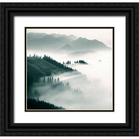 Braun Studio - Misty mountains II Black Ornate Wood Framed Art Print with Double Matting by Braun Studio