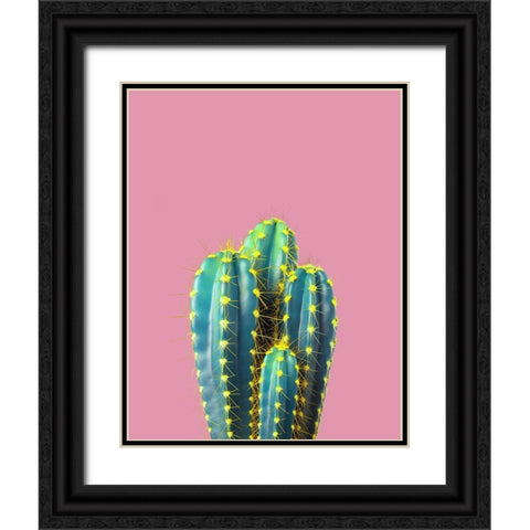 Braun Studio - Cactus epines jaunes Black Ornate Wood Framed Art Print with Double Matting by Braun Studio