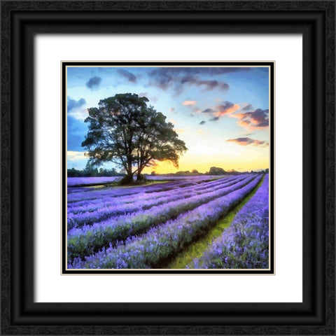 Lavender Field II Black Ornate Wood Framed Art Print with Double Matting by Medeiros, Celito