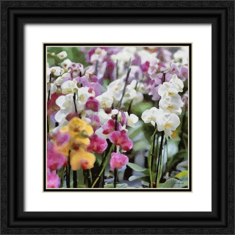 Orchids V Black Ornate Wood Framed Art Print with Double Matting by Medeiros, Celito