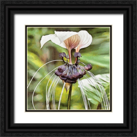 Orchids VII Black Ornate Wood Framed Art Print with Double Matting by Medeiros, Celito
