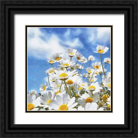 Daisies Black Ornate Wood Framed Art Print with Double Matting by Medeiros, Celito