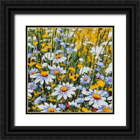 Many White Daisies Black Ornate Wood Framed Art Print with Double Matting by Medeiros, Celito