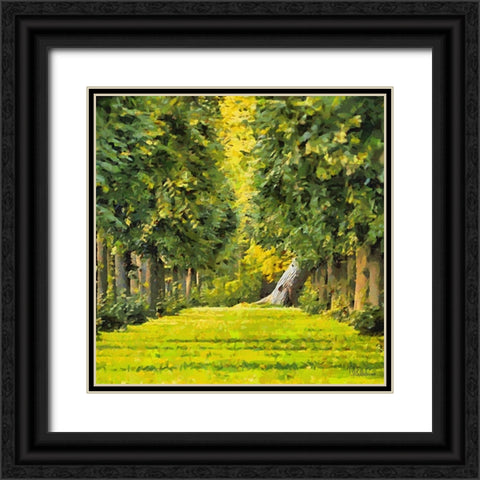 Fresh Green Forest Black Ornate Wood Framed Art Print with Double Matting by Medeiros, Celito