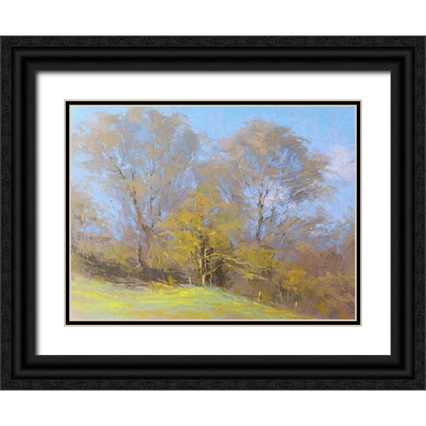 Sunny Autumn Day Black Ornate Wood Framed Art Print with Double Matting by Chaney, Alan