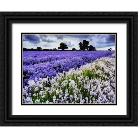 Lavender Field VI Black Ornate Wood Framed Art Print with Double Matting by Medeiros, Celito