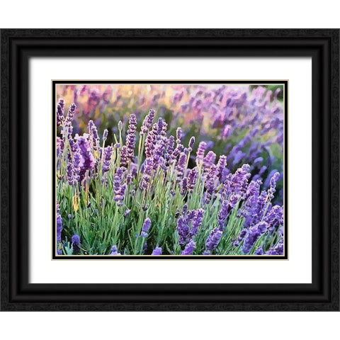 Lavender Field VII Black Ornate Wood Framed Art Print with Double Matting by Medeiros, Celito