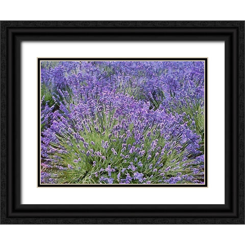 Lavender Field VIII Black Ornate Wood Framed Art Print with Double Matting by Medeiros, Celito