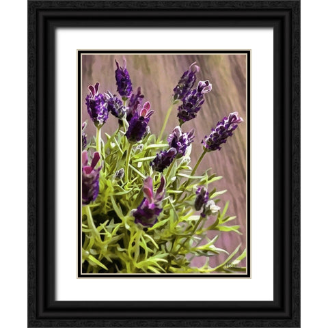 Purple Flower I Black Ornate Wood Framed Art Print with Double Matting by Medeiros, Celito