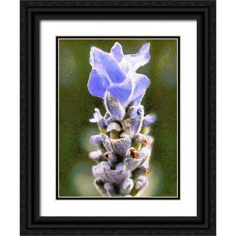 Purple Flower III Black Ornate Wood Framed Art Print with Double Matting by Medeiros, Celito