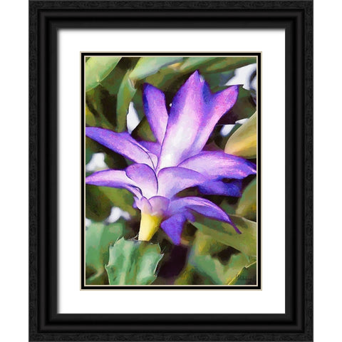 Cactus Flower I Black Ornate Wood Framed Art Print with Double Matting by Medeiros, Celito