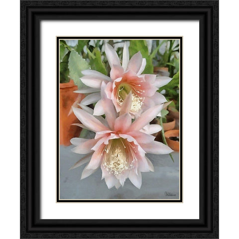 Cactus Flower III Black Ornate Wood Framed Art Print with Double Matting by Medeiros, Celito