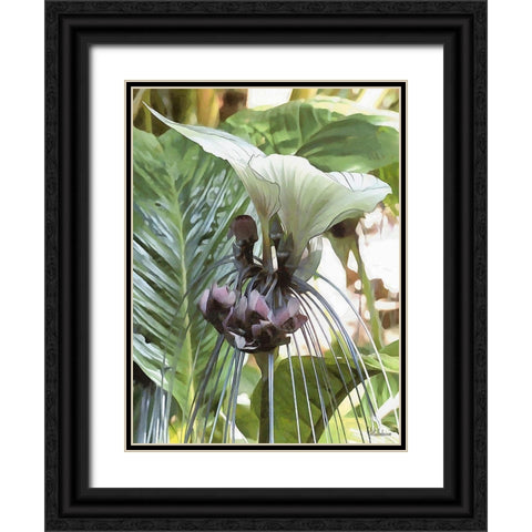 Orchids XV Black Ornate Wood Framed Art Print with Double Matting by Medeiros, Celito