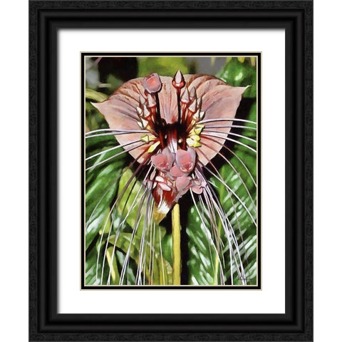 Orchids XVI Black Ornate Wood Framed Art Print with Double Matting by Medeiros, Celito