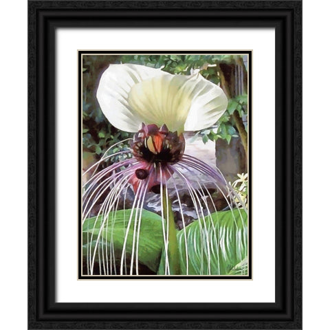 Orchids XVII Black Ornate Wood Framed Art Print with Double Matting by Medeiros, Celito