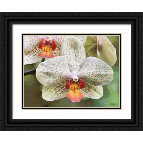 Orchids XXII Black Ornate Wood Framed Art Print with Double Matting by Medeiros, Celito