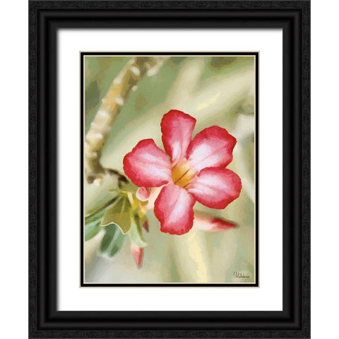 Orchids XXIV Black Ornate Wood Framed Art Print with Double Matting by Medeiros, Celito
