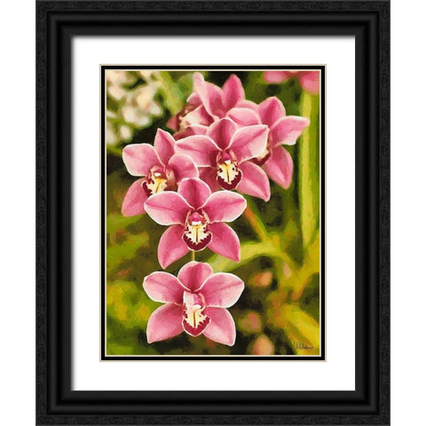 Orchids XXV Black Ornate Wood Framed Art Print with Double Matting by Medeiros, Celito