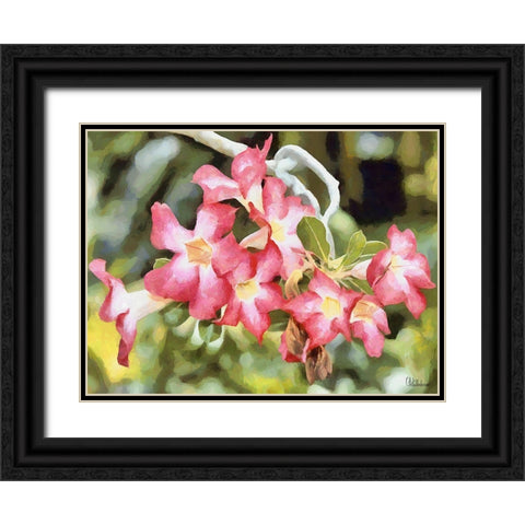 Orchids XXVI Black Ornate Wood Framed Art Print with Double Matting by Medeiros, Celito