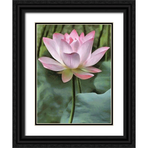 Watter Lilly II Black Ornate Wood Framed Art Print with Double Matting by Medeiros, Celito