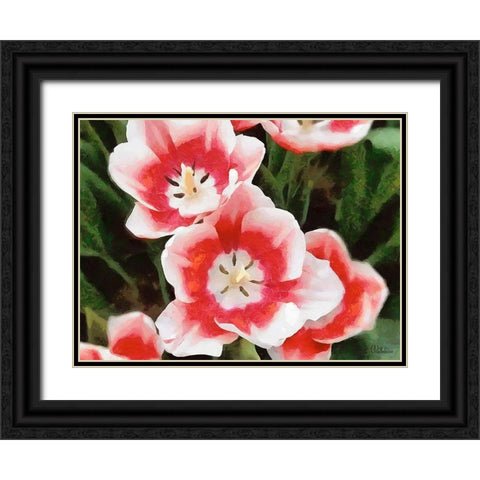 Orchids XXXV Black Ornate Wood Framed Art Print with Double Matting by Medeiros, Celito