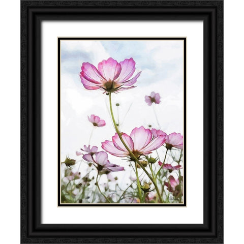 Pink light Flower Black Ornate Wood Framed Art Print with Double Matting by Medeiros, Celito