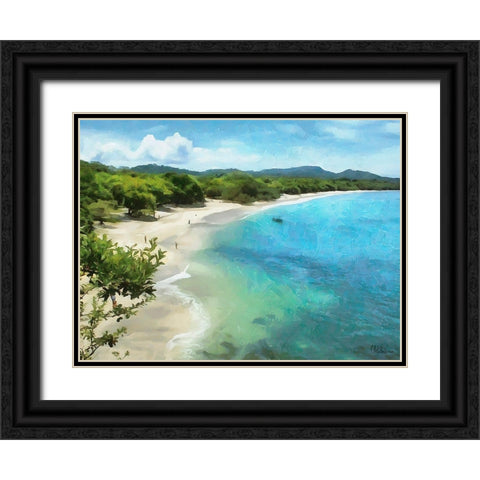 Tropical Bay II Black Ornate Wood Framed Art Print with Double Matting by Medeiros, Celito