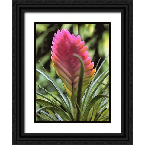 I like Flowers II Black Ornate Wood Framed Art Print with Double Matting by Medeiros, Celito