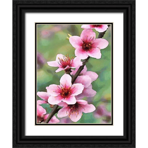 I like Flowers XVI Black Ornate Wood Framed Art Print with Double Matting by Medeiros, Celito