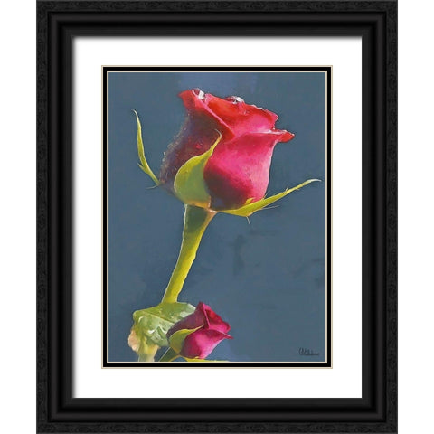 I like Flowers XXI Black Ornate Wood Framed Art Print with Double Matting by Medeiros, Celito