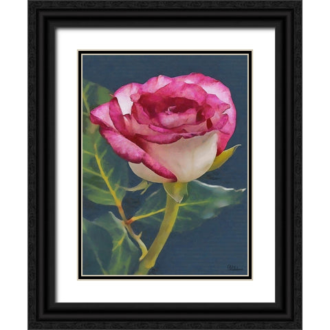 I like Flowers XXII Black Ornate Wood Framed Art Print with Double Matting by Medeiros, Celito