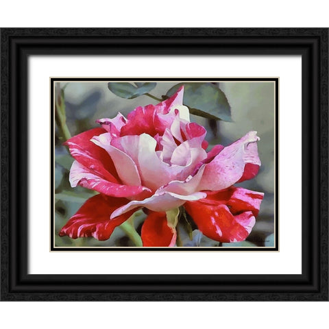 I like Flowers XXIV Black Ornate Wood Framed Art Print with Double Matting by Medeiros, Celito