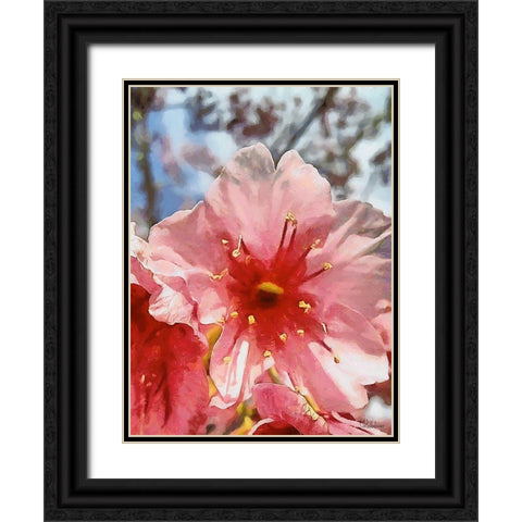 I like Flowers XXIX Black Ornate Wood Framed Art Print with Double Matting by Medeiros, Celito