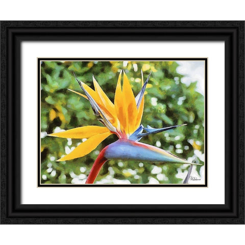 Yellow Orchid IV Black Ornate Wood Framed Art Print with Double Matting by Medeiros, Celito