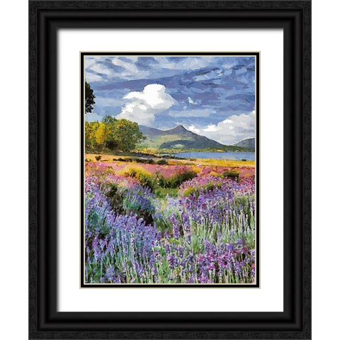 Flovers in the Mountains VIII Black Ornate Wood Framed Art Print with Double Matting by Medeiros, Celito
