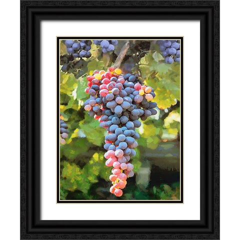 Grapes VI Black Ornate Wood Framed Art Print with Double Matting by Medeiros, Celito