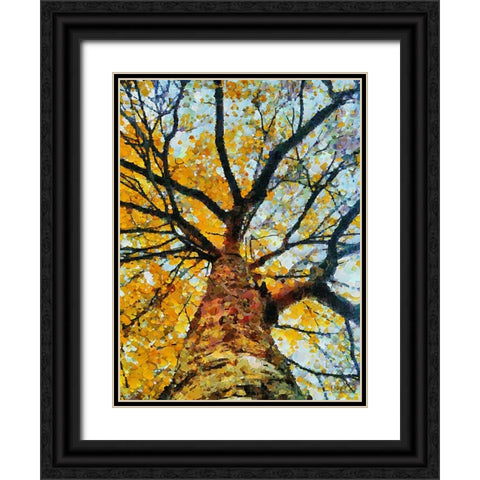 Collectio of Bloomin and Autumn Trees VIII Black Ornate Wood Framed Art Print with Double Matting by Medeiros, Celito