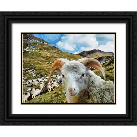 Sheep and Goat Collection I Black Ornate Wood Framed Art Print with Double Matting by Medeiros, Celito
