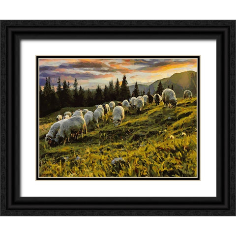 Sheep and Goat Collection II Black Ornate Wood Framed Art Print with Double Matting by Medeiros, Celito