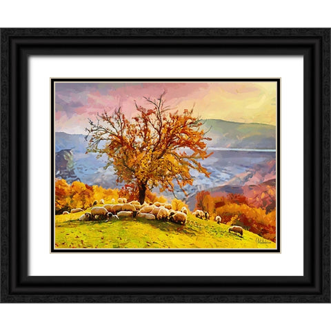 Sheep and Goat Collection III Black Ornate Wood Framed Art Print with Double Matting by Medeiros, Celito