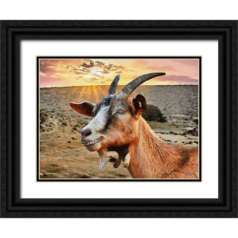 Sheep and Goat Collection IV Black Ornate Wood Framed Art Print with Double Matting by Medeiros, Celito