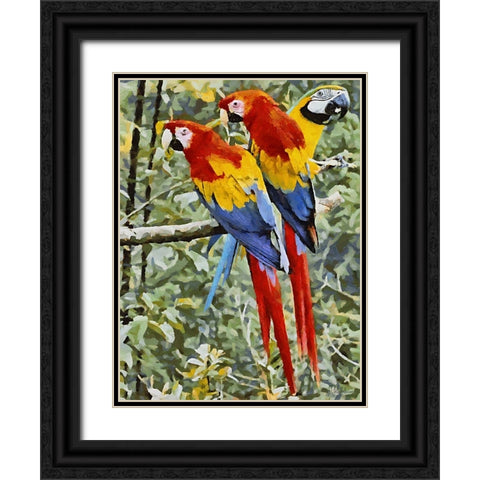 Three Parrots Black Ornate Wood Framed Art Print with Double Matting by Medeiros, Celito