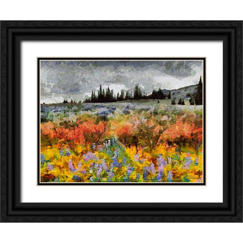 Colorful Meadow with Black and White Sky Black Ornate Wood Framed Art Print with Double Matting by Medeiros, Celito